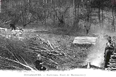 Bucherons Foret de Montmorency BESSANCOUR