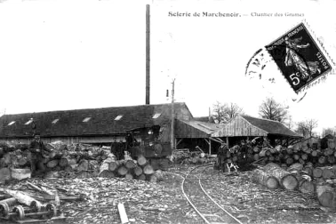 Scierie de Marchenoir chantier des grumes