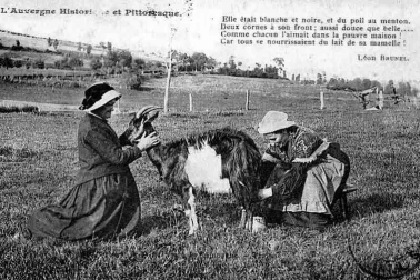 Auvergne historique et pittoresque la traite de la chevre