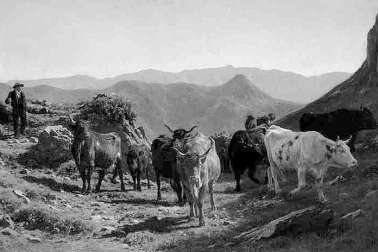 Cantal Une vacherie aquarelles d Auguste Bonheur vacherie dans les Monts du Cantal en 1855