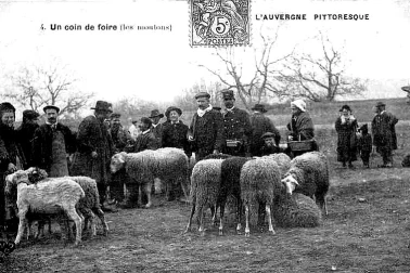 Foires et evenements l Auvergne Un coin de la foire les moutons L Auvergne pittoresque