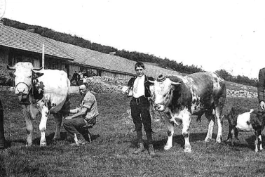 Echantillons du troupeau de la ferme