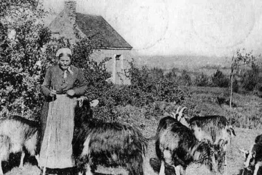 Gardeuse de chevres