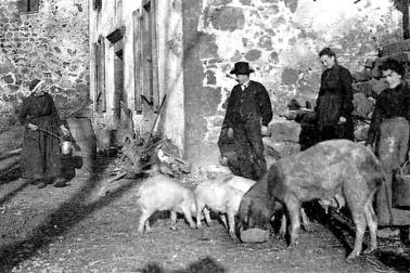 Dans la cour de la ferme cantalienne