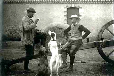 Dans la cour de la ferme on s occupe des chiens de chasse
