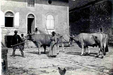 Dans la cour de ferme