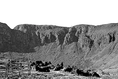 La Breche de Roland dans le Cantal une vacherie au pied des montagnes dans les annees 60