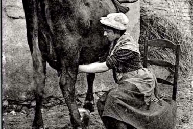 L Auvergne traite de la vache auvergnate au regard distrait gare a ta jatte a tu vas tomber le lait