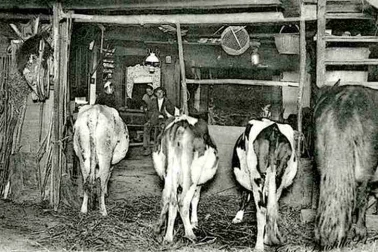 La ferme a l avant l etable a l arriere le logis