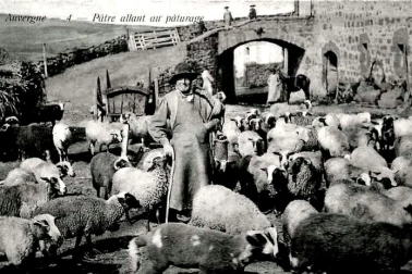 L Auvergne petits metiers PATRE ALLANT AU PATURAGE