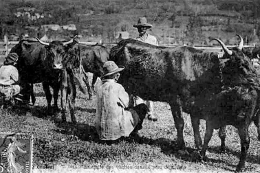 Les vacheries l Auvergne TYPES-DAUVERGNE La traite des vaches en montagne