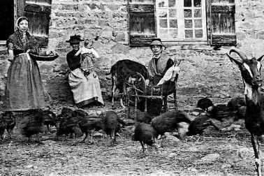 Scene champetre en famille dans la cour de la ferme avec la volaille