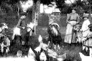 Scene champetre a la ferme en famille