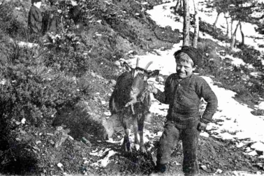 Une scene champetre le petit chevrier des montagnes