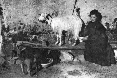 Une petite laitiere