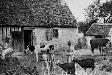 Un coin de la ferme