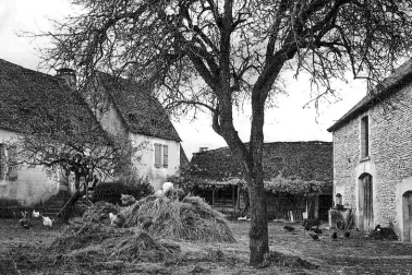 La cour de la ferme avec son tas de fumier
