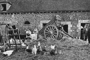 Cour de ferme
