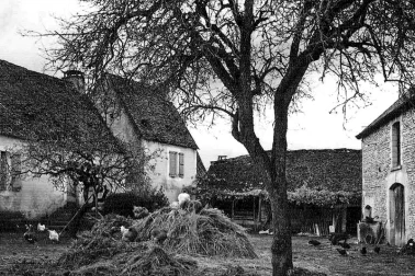 L Auvergne a la campagne la cour de la ferme