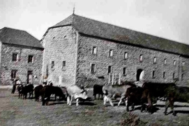 Cantal une ferme avec son troupeau de vaches