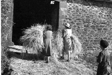 Journee de la femme en Auvergne