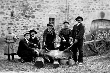 En Auvergne le jour de la Mangougne ou on tue le cochon