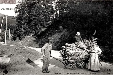 L Auvergne petits metiers Descente du bois dans la montagne