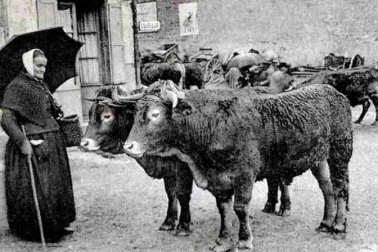 Type du centre a la foire attedant l acheteur