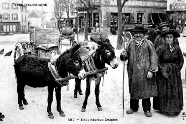 Types d Auvergne Transport avec des anes Deux heureux couples