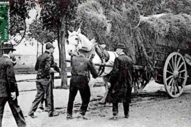 La voiture de paille