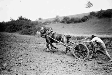 les paysans ont recours a un semoir a cuilleres tracte par un cheval en 1914