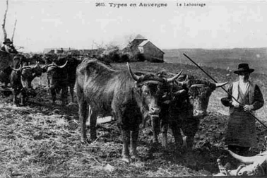 L Auvergne petits metiers Le labourage Types en Auvergne
