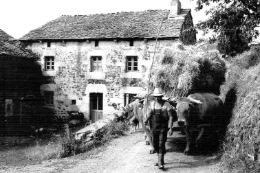 La periode des foins
