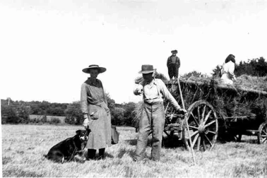 Les moissons pendant la guerre