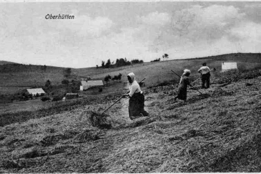 Les petits metiers  les faucheurs la fenaison la moisson l Auvergne La fenaison dans les hameaus des hautes huttes