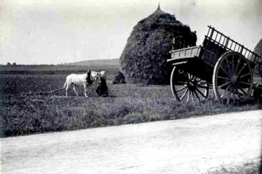 Dans la campagne le travail des champs