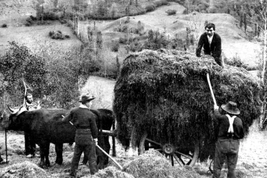 Scene de la campagne la fenaison