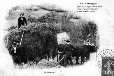 Les petits metiers les faucheurs la fenaison la moisson l Auvergne La fenaison en Auvergne