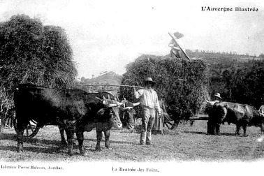 Petit metier les faucheurs la fenaison la moisson l Auvergne La rentree des foins L Auvergne illuste