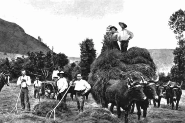 Cantal La fenaison en famille dans le Cantal autrefois