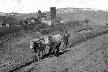 Les labours aux abords du village