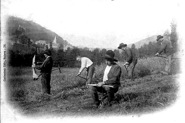 Petit metier les faucheurs la fenaison la moisson l Auvergne Les faucheurs