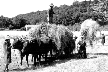 La fenaison en famille