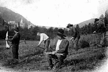 Cantal les faucheurs au travail