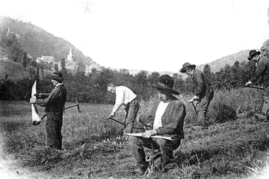 En periode de fenaison les faucheurs au travail