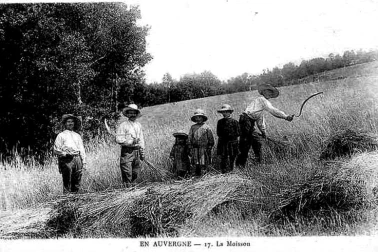 Les petits metiers les faucheurs la fenaison la moisson l Auvergne La moissons