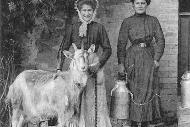 Deux petites laitieres auvergnates