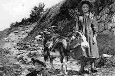 Enfants montdoriens gardant les chevres