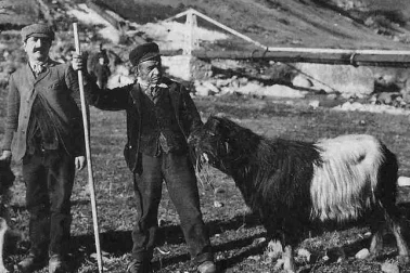 Capture du Bouc du Sisca