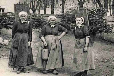le retour du ramassage du bois pour le chauffage